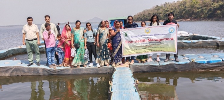 Training report farhada-hi-en-25-3-2025